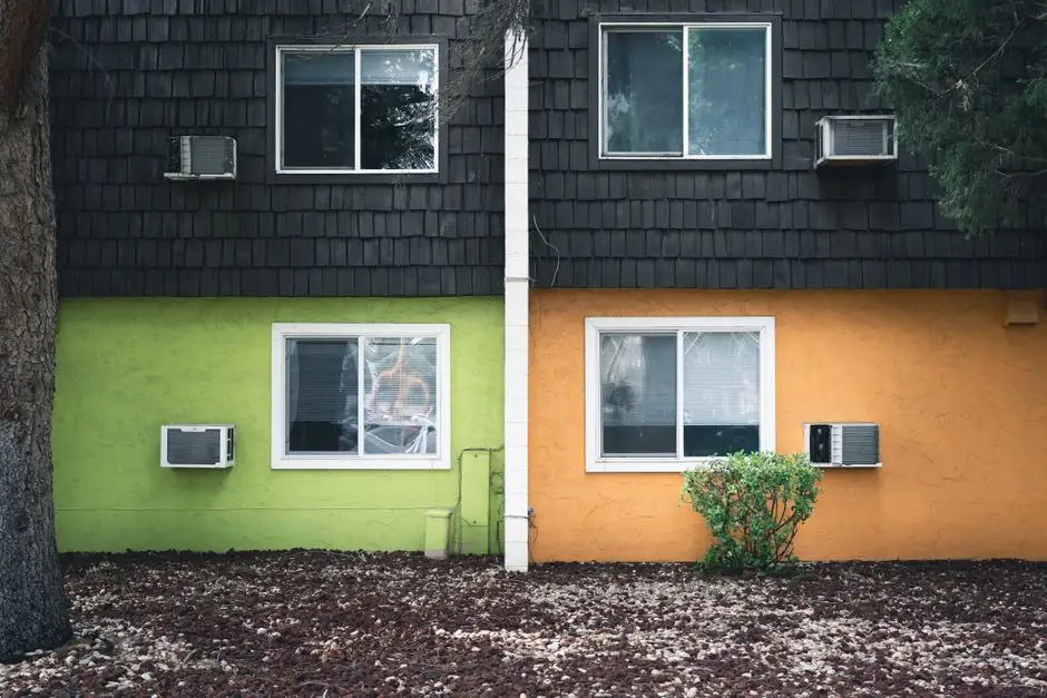 Before and After: Mold Detection